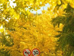 -上海交通大学(闵行校区)