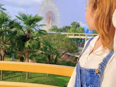 -七彩云南欢乐世界