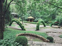 -沈阳植物园