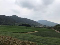-龙寺生态园
