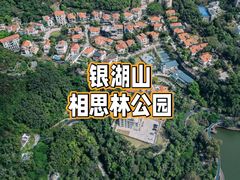 -银湖山郊野公园-相思林