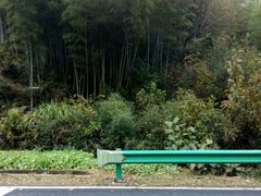 -塔川景区