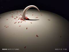 -上海当代艺术博物馆
