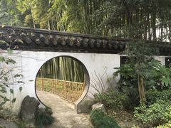 -汇龙潭
