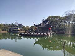 -鲁镇