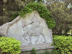 -北京麋鹿生态实验中心