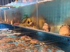 -韩记海鲜饺子旗舰店(红海新区店)