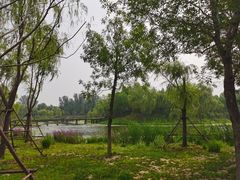 -东郊湿地公园