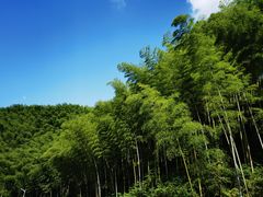 -涵家味土菜馆·徽州一绝臭鳜鱼(三河古镇店)