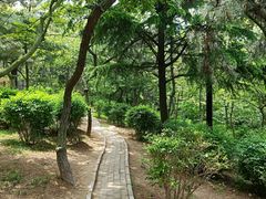 -观象山公园