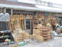 -哈尔滨道外花鸟鱼市场