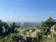 -海南铜鼓岭景区