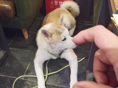 -有肉食·虎九闽菜(798艺术区店)
