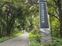 -青龙山国家森林公园