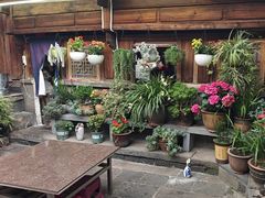 -龙姐私房菜(和顺古镇店)