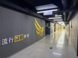 -欲非舞蹈