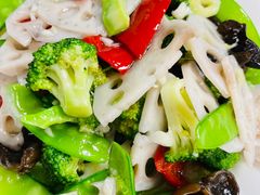 -苏力坦新疆特色(东直门店)