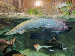 -太平洋海底世界