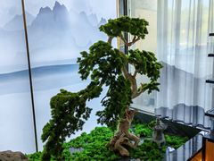 -山城酒家(燕山路店)