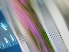 -横店影视城梦幻谷园区