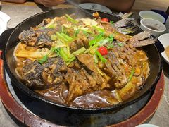 -老板恋上鱼(恒隆广场店)