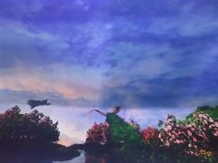 -花之城