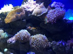 -乌鲁木齐海洋馆