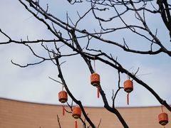 -静安公园(静安寺街道)