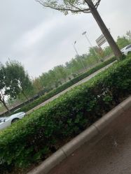 -HEYAN长风荷妍专业脱毛美肤
