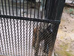 -广东茂名森林公园