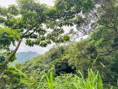 -梧桐山风景名胜区
