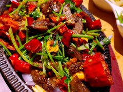 -蒙料·手把肉(望京店)