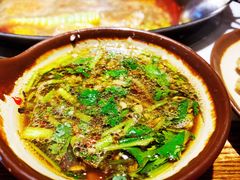 原汤蝶-老天桥蛙炉火锅(姑苏总店)