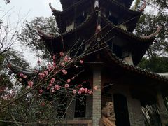 -成都杜甫草堂博物馆