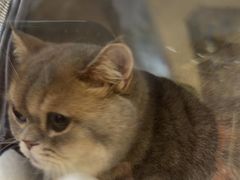 -它主义宠物(梁溪万达店)