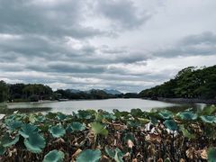 -江心屿景区