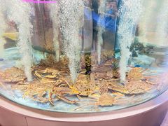 -海底捞大排档火锅(打浦路店)