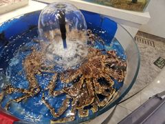 -北塘海鲜·天津菜(大光明桥旗舰店)