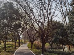 -西溪国家湿地公园