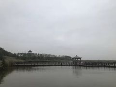 -南大港湿地风景区