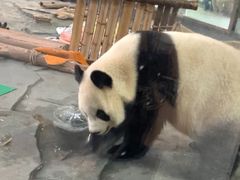 -泉州海丝野生动物世界