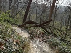 -紫金山天文台