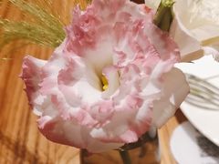 -gaga(深圳南山益田假日广场店)