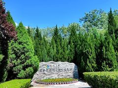 -大槐树寻根祭祖园