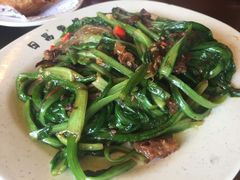 豆豉鲮鱼油麦菜-日昌餐馆(亦庄店)