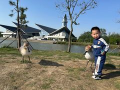 -盐城丹顶鹤湿地生态旅游区