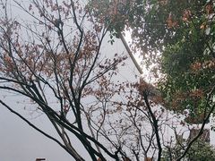 -南京民俗博物馆(甘熙故居)