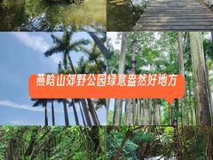 -燕晗山郊野公园