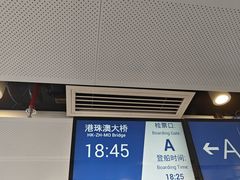 -招商蛇口邮轮母港(观光客运)