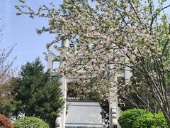 -武汉园博园(武汉自然博物馆)